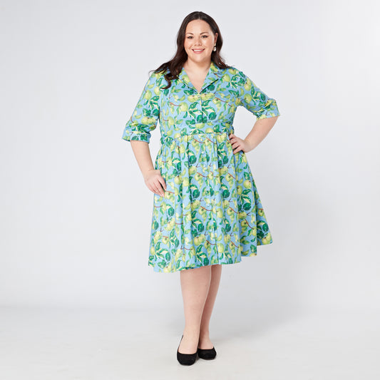 Plus-Size-Apple-Print-Cotton-Shirt-Dress