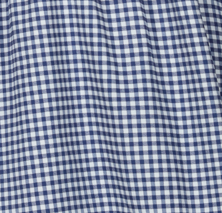 Womens-Plus-Size-Gingham-Midi-Dress-With-Sleeves